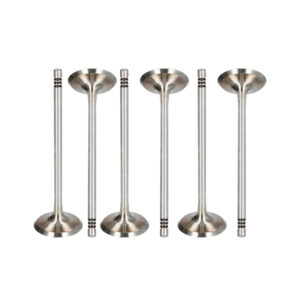 BMW 1.5 B38 A15 A Petrol Exhaust Valve