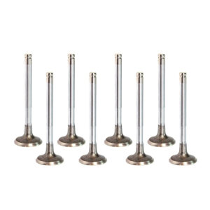 Ford 2.0 TNWA Petrol Exhaust Valve
